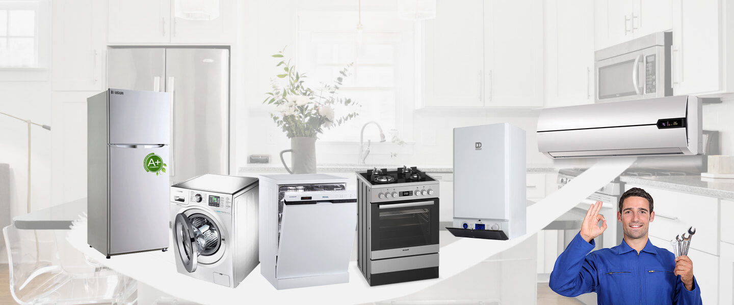 Kartal Philips Servisi